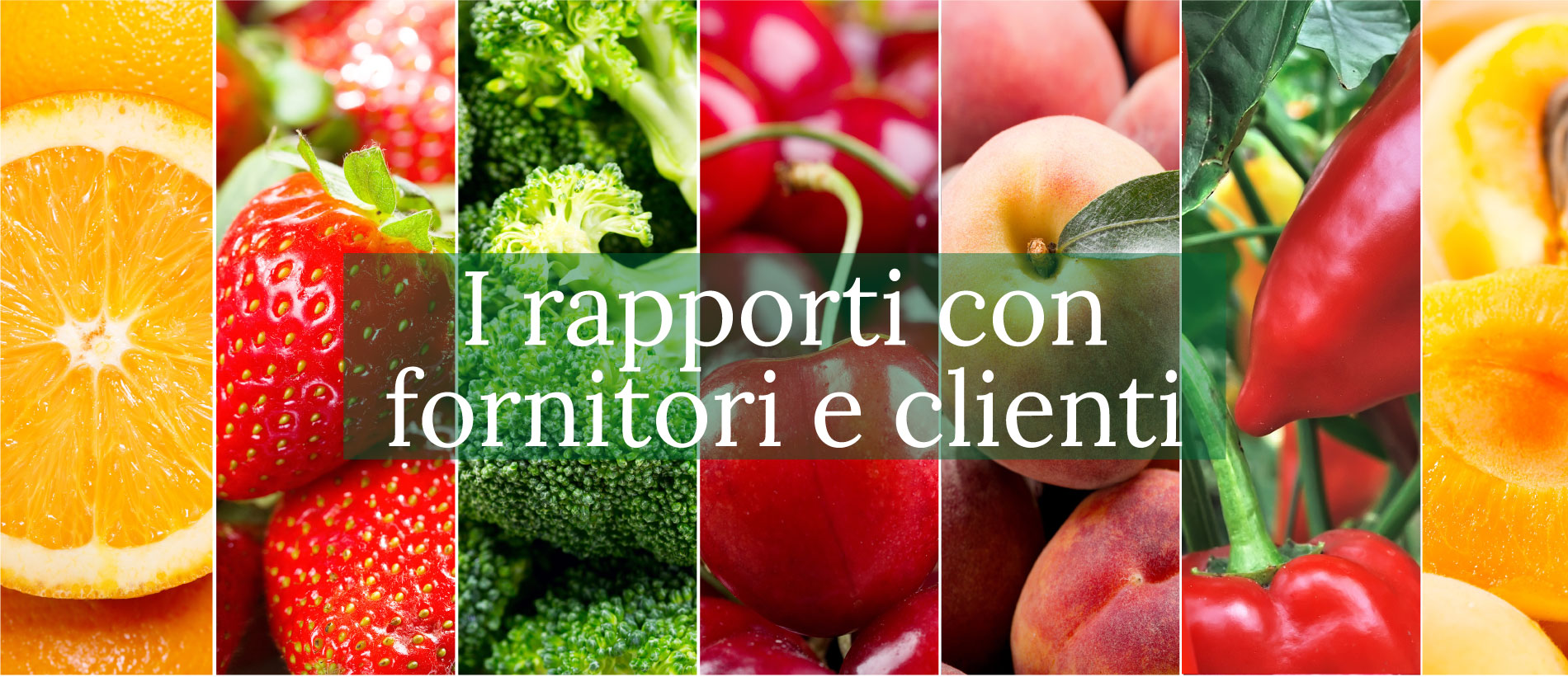 I nostri rapporti con fornitori e clienti del mercato ortrofrutticolo